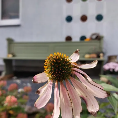 Auszeit Osterode Apartament